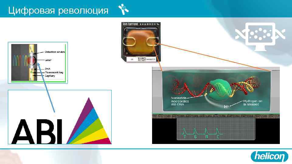 Цифровая революция 