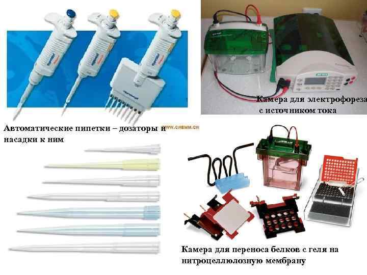 Камера для электрофореза с источником тока Автоматические пипетки – дозаторы и насадки к ним