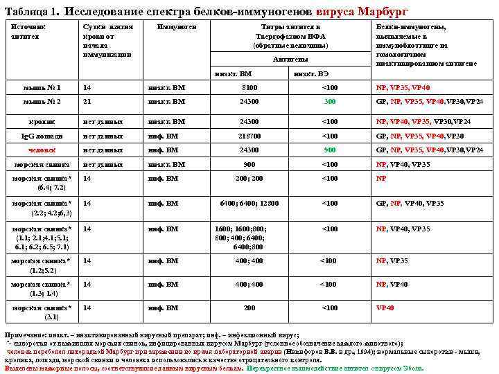 Таблица 1. Исследование спектра белков-иммуногенов вируса Марбург Источник антител Сутки взятия крови от начала