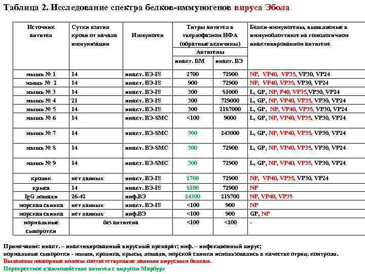 Таблица 2. Исследование спектра белков-иммуногенов вируса Эбола Источник антител Сутки взятия крови от начала