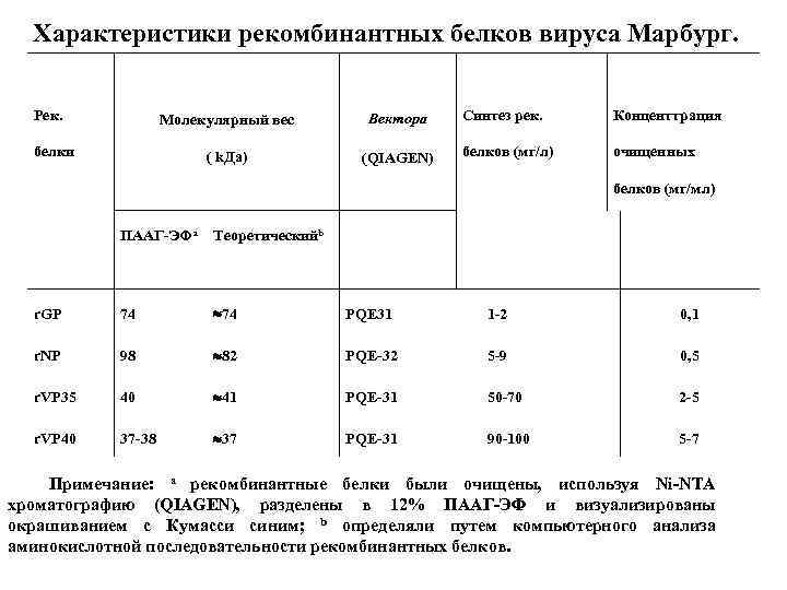 Характеристики рекомбинантных белков вируса Марбург. Рек. Молекулярный вес Вектора ( k. Да) (QIAGEN) белки