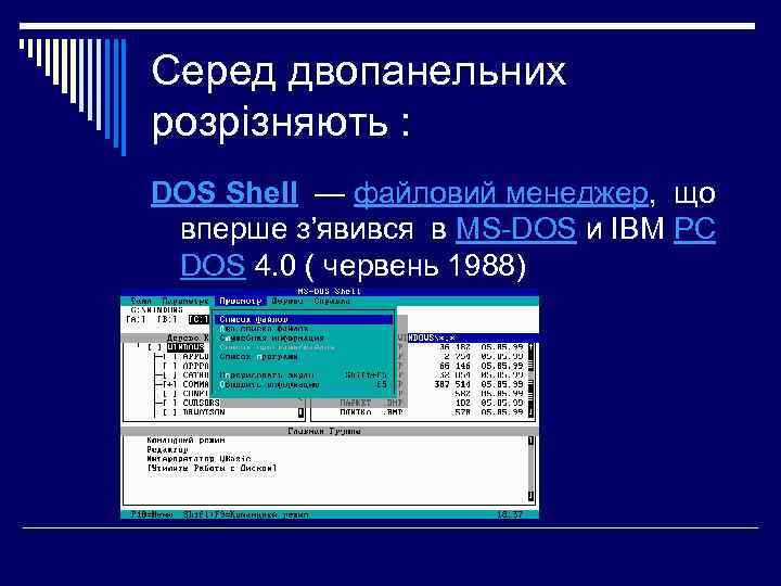 Серед двопанельних розрізняють : DOS Shell — файловий менеджер, що вперше з’явився в MS-DOS