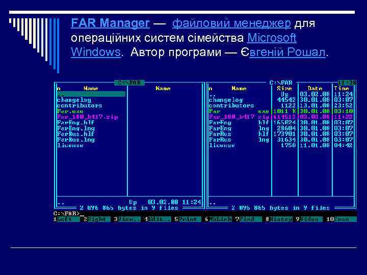 FAR Manager — файловий менеджер для операційних систем сімейства Microsoft Windows. Автор програми —