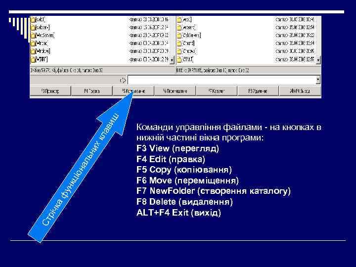 иш ав кл их ьн ал іон кц а ф ун річ к Ст