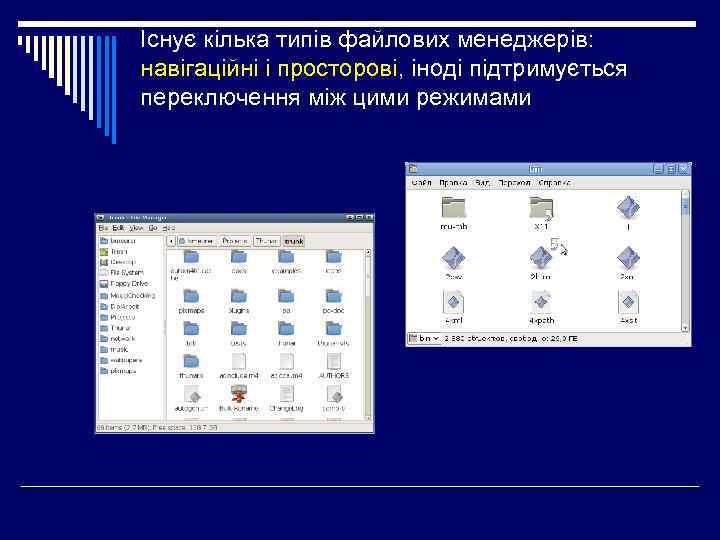 Існує кілька типів файлових менеджерів: навігаційні і просторові, іноді підтримується переключення між цими режимами