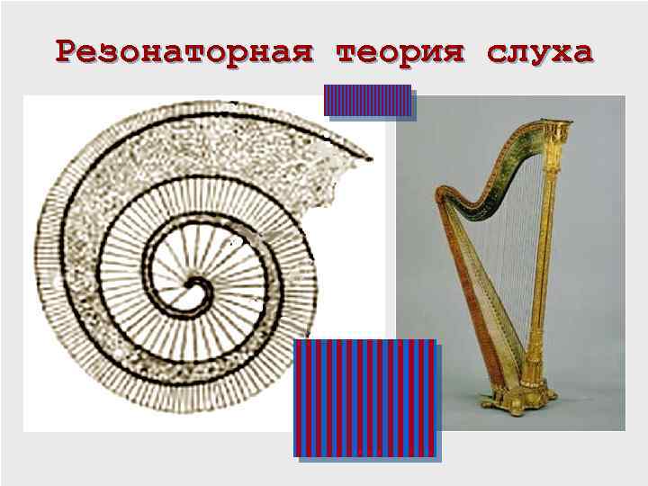 Резонаторная теория слуха 