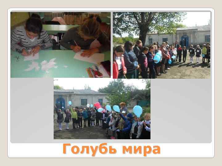 Голубь мира 