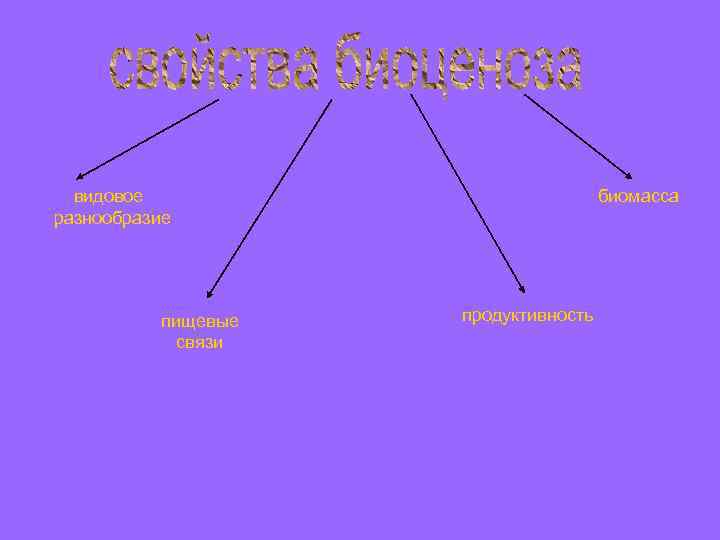видовое разнообразие пищевые связи биомасса продуктивность 