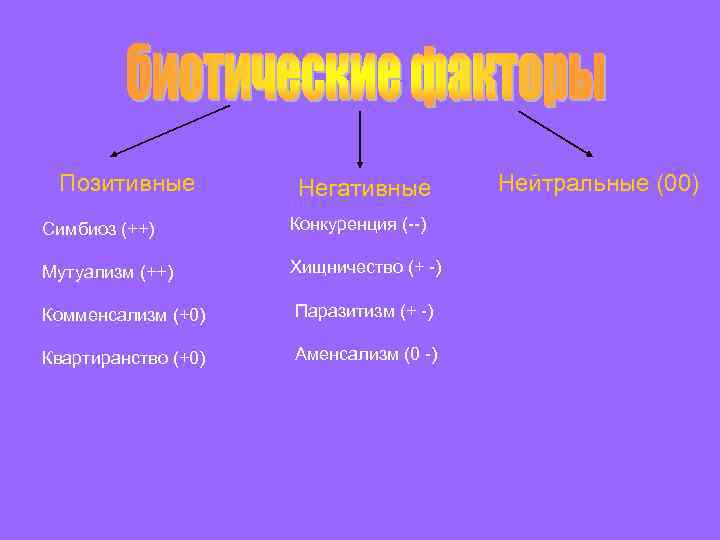 Позитивные Негативные Симбиоз (++) Конкуренция (--) Мутуализм (++) Хищничество (+ -) Комменсализм (+0) Паразитизм