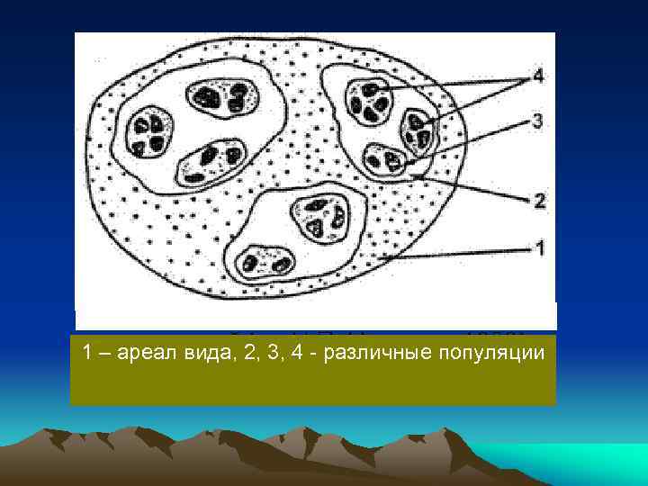 1 – ареал вида, 2, 3, 4 - различные популяции 
