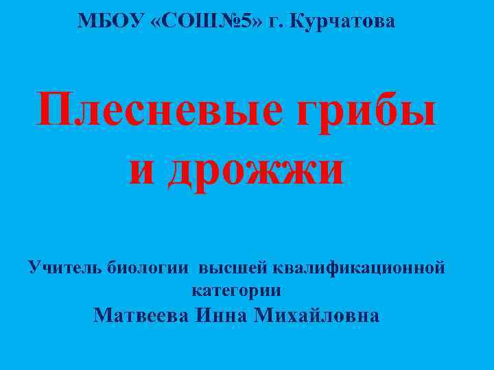 МБОУ «СОШ№ 5» г. Курчатова Плесневые грибы и дрожжи Учитель биологии высшей квалификационной категории