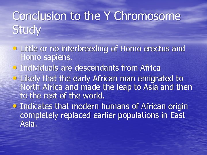 Conclusion to the Y Chromosome Study • Little or no interbreeding of Homo erectus