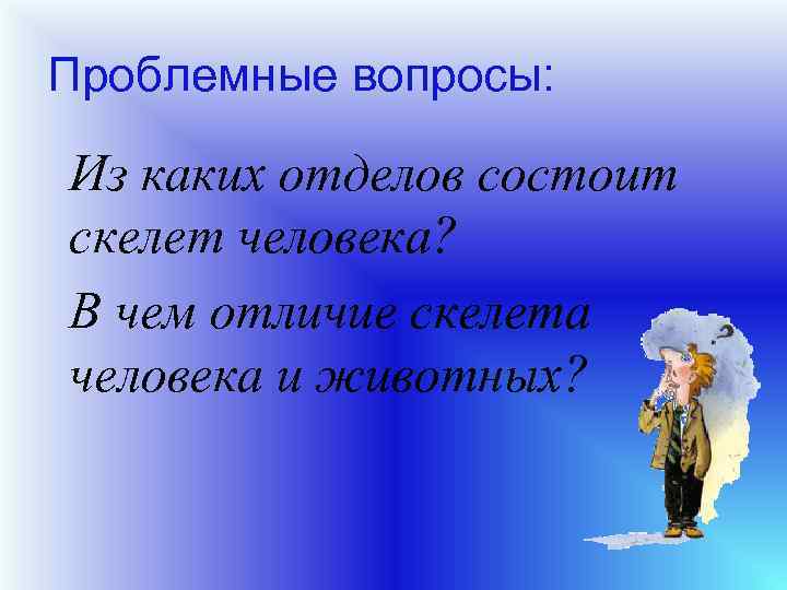 Проблемные вопросы: Из каких отделов состоит скелет человека? В чем отличие скелета человека и