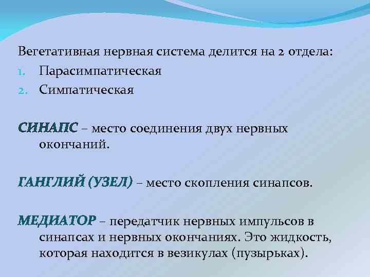 Вегетативная нервная система делится на 2 отдела: 1. Парасимпатическая 2. Симпатическая СИНАПС – место