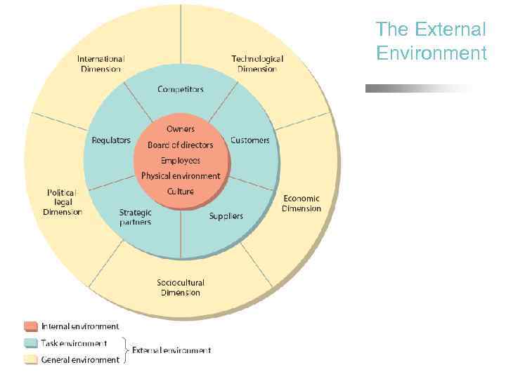 The External Environment 