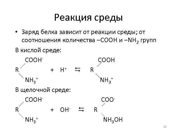 Реакция среды • Заряд белка зависит от реакции среды; от соотношения количества –СООН и