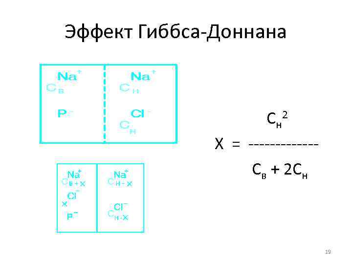 Эффект Гиббса-Доннана С н 2 Х = ------Св + 2 Сн 19 