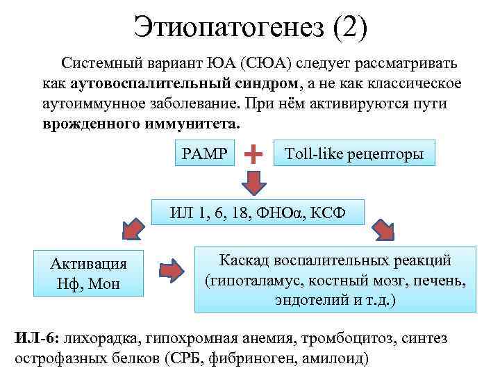 Этиопатогенез (2) Системный вариант ЮА (СЮА) следует рассматривать как аутовоспалительный синдром, а не как