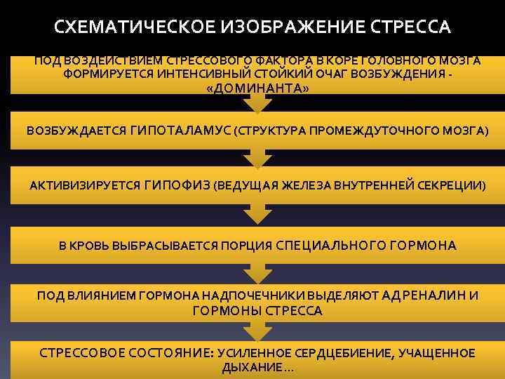 СХЕМАТИЧЕСКОЕ ИЗОБРАЖЕНИЕ СТРЕССА ПОД ВОЗДЕЙСТВИЕМ СТРЕССОВОГО ФАКТОРА В КОРЕ ГОЛОВНОГО МОЗГА ФОРМИРУЕТСЯ ИНТЕНСИВНЫЙ СТОЙКИЙ