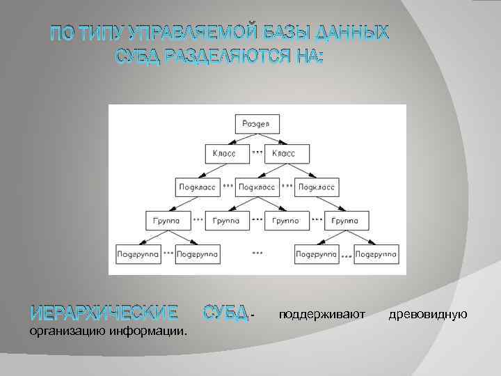 ПО ТИПУ УПРАВЛЯЕМОЙ БАЗЫ ДАННЫХ СУБД РАЗДЕЛЯЮТСЯ НА: ИЕРАРХИЧЕСКИЕ организацию информации. СУБД - поддерживают