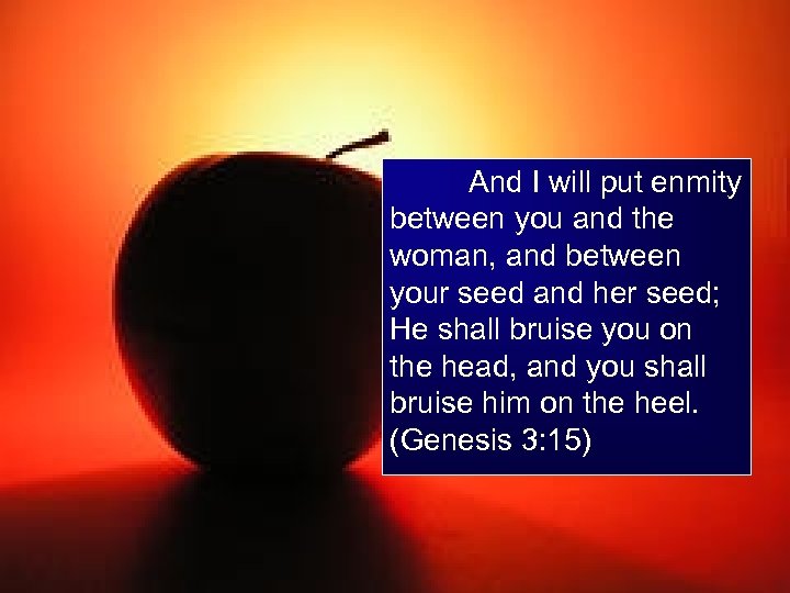 And I will put enmity between you and the woman, and between your seed