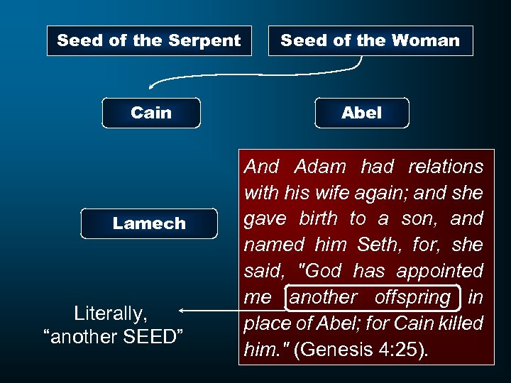 Seed of the Serpent Cain Lamech Literally, “another SEED” Seed of the Woman Abel