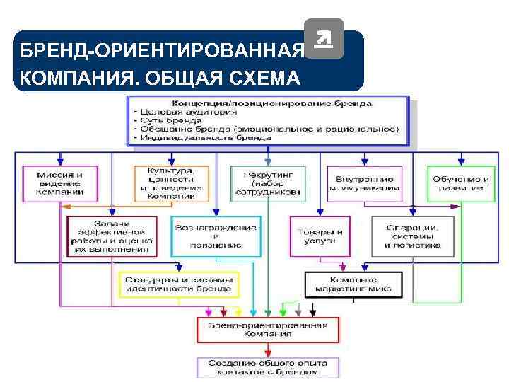 Управление брендом