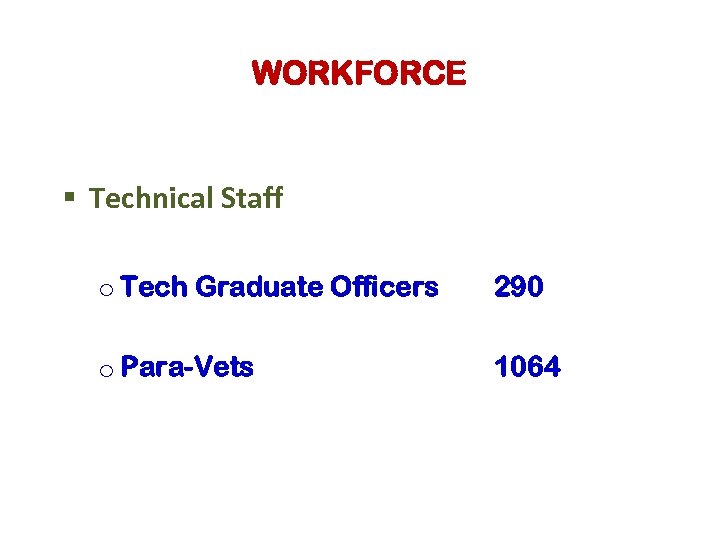 WORKFORCE § Technical Staff o Tech Graduate Officers 290 o Para-Vets 1064 