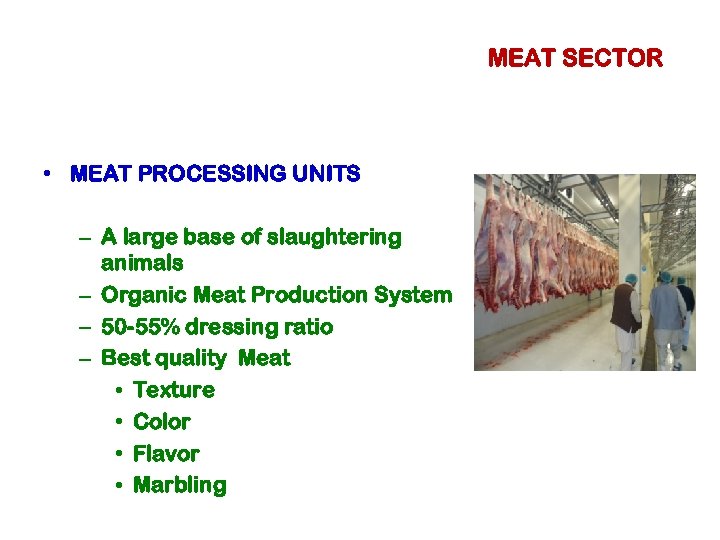 MEAT SECTOR • MEAT PROCESSING UNITS – A large base of slaughtering animals –