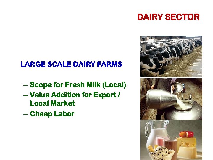 DAIRY SECTOR LARGE SCALE DAIRY FARMS – Scope for Fresh Milk (Local) – Value