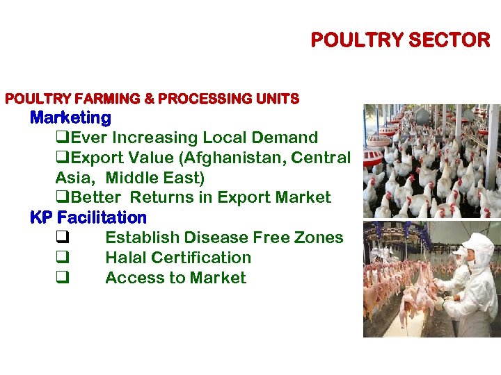 POULTRY SECTOR POULTRY FARMING & PROCESSING UNITS Marketing q. Ever Increasing Local Demand q.