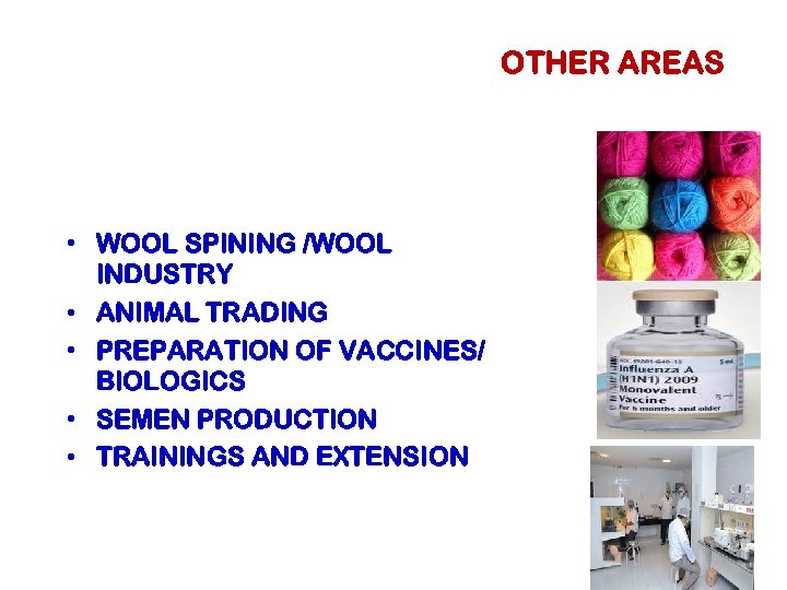 OTHER AREAS • WOOL SPINING /WOOL INDUSTRY • ANIMAL TRADING • PREPARATION OF VACCINES/