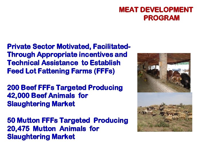 MEAT DEVELOPMENT PROGRAM Private Sector Motivated, Facilitated. Through Appropriate incentives and Technical Assistance to