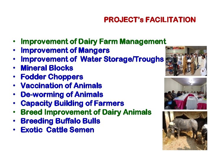 PROJECT’s FACILITATION • • • Improvement of Dairy Farm Management Improvement of Mangers Improvement