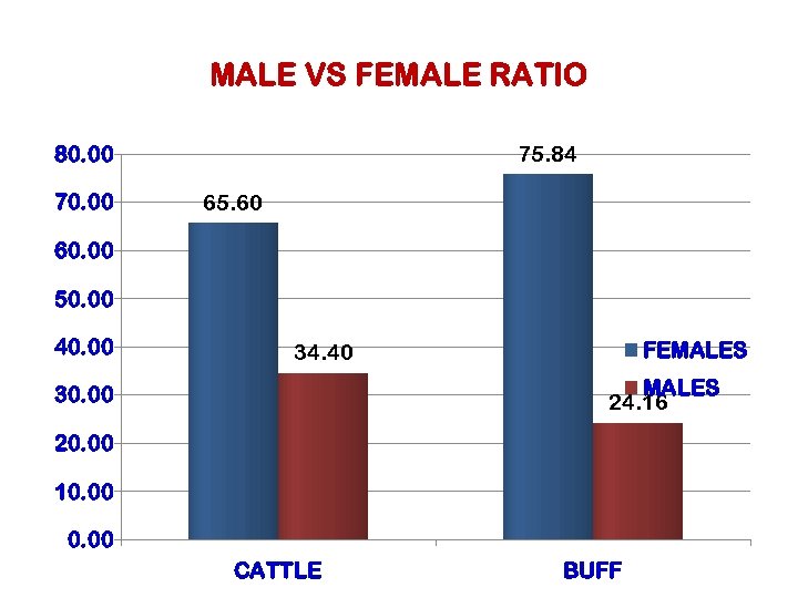 MALE VS FEMALE RATIO 75. 84 80. 00 70. 00 65. 60 60. 00