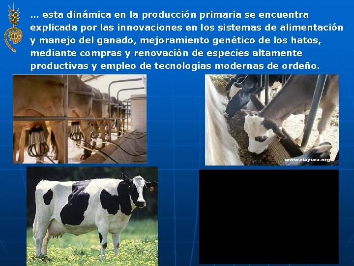 … esta dinámica en la producción primaria se encuentra explicada por las innovaciones en
