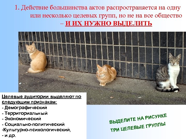 1. Действие большинства актов распространяется на одну или несколько целевых групп, но не на