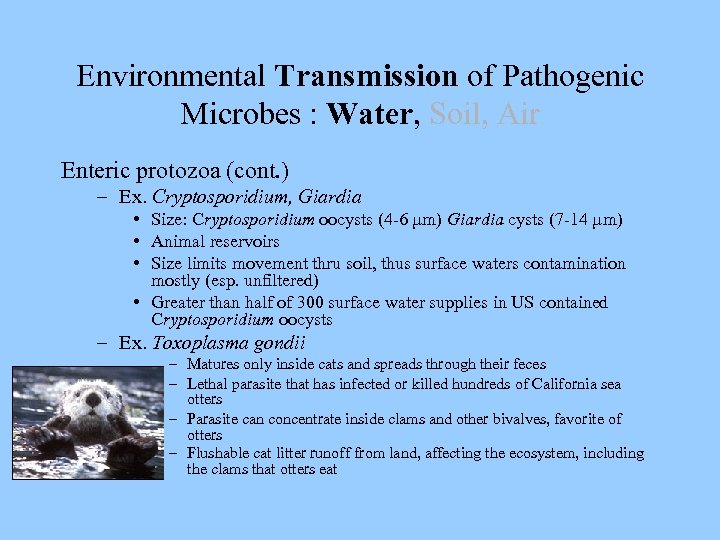 Environmental Transmission of Pathogenic Microbes : Water, Soil, Air Enteric protozoa (cont. ) –