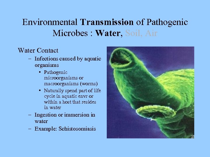 Environmental Transmission of Pathogenic Microbes : Water, Soil, Air Water Contact – Infections caused