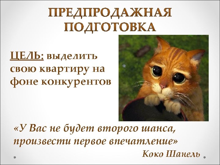 ЦЕЛЬ: выделить свою квартиру на фоне конкурентов «У Вас не будет второго шанса, произвести