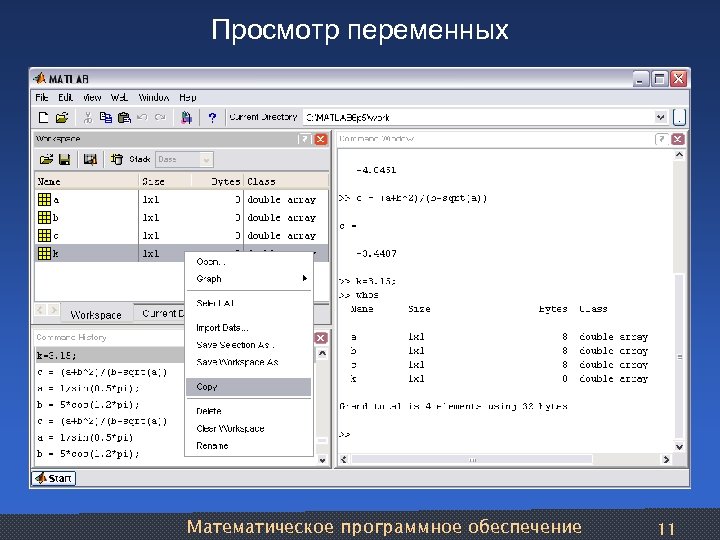 Просмотр переменных Математическое программное обеспечение 11 