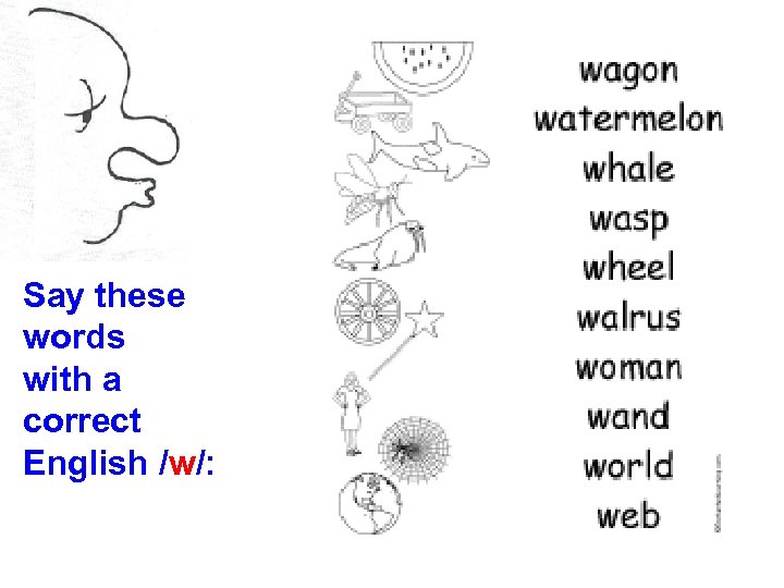 Say these words with a correct English /w/: 