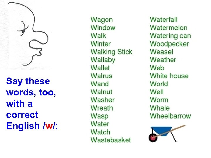 Say these words, too, with a correct English /w/: 
