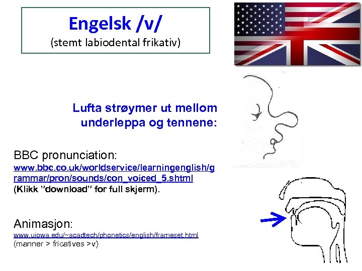 Engelsk /v/ (stemt labiodental frikativ) Lufta strøymer ut mellom underleppa og tennene: BBC pronunciation: