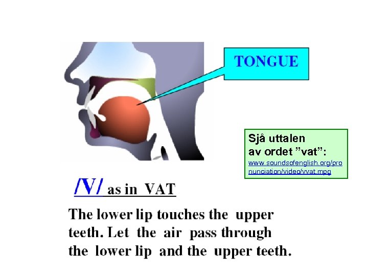 Sjå uttalen av ordet ”vat”: www. soundsofenglish. org/pro nunciation/video/vvat. mpg 