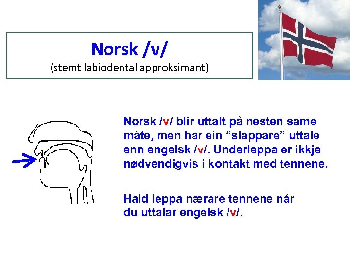 Norsk /v/ (stemt labiodental approksimant) Norsk /v/ blir uttalt på nesten same måte, men