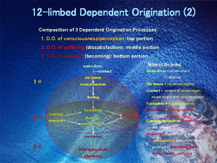 12 -limbed Dependent Origination (2) Composition of 3 Dependent Origination Processes: 1. D. O.