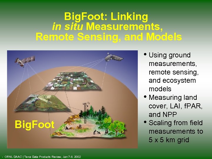 Big. Foot: Linking in situ Measurements, Remote Sensing, and Models • Using ground Big.