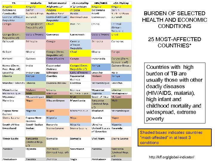 BURDEN OF SELECTED HEALTH AND ECONOMIC CONDITIONS 25 MOST-AFFECTED COUNTRIES* Countries with high burden