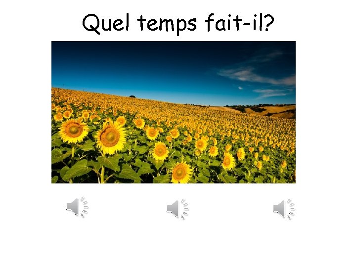 Quel temps fait-il? 